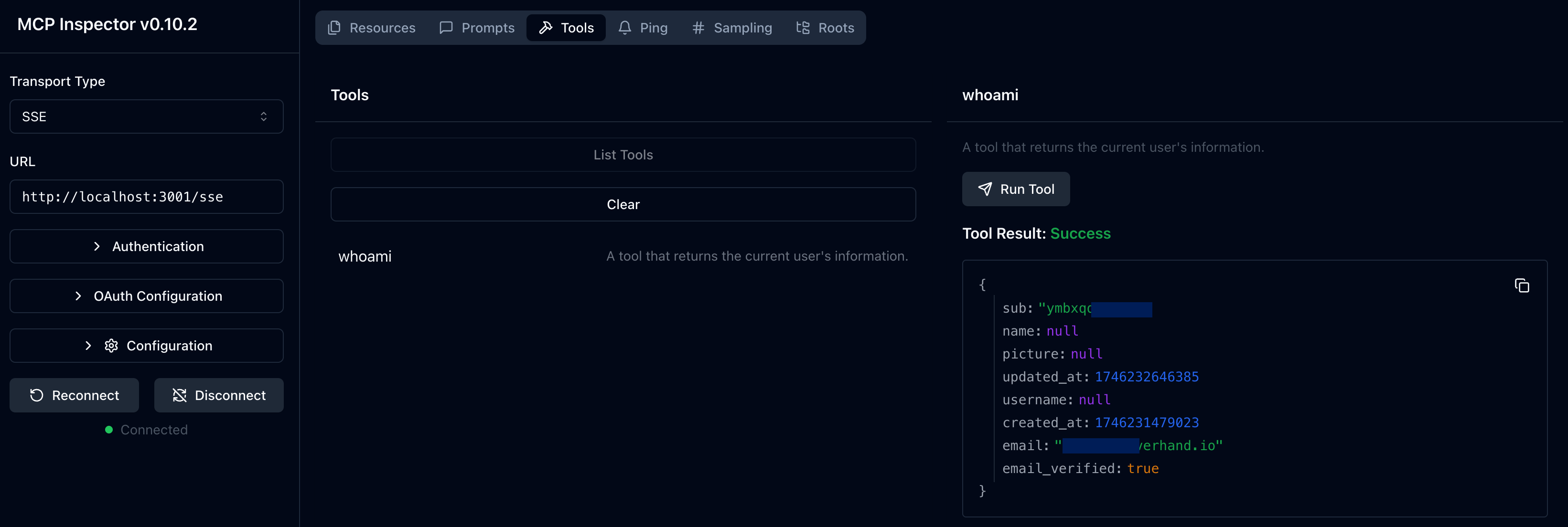 MCP inspector whoami tool result